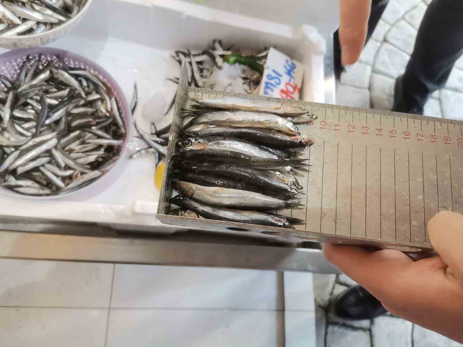 ORDU’DA BALIK TEZGAHLARI DENETLENİYOR